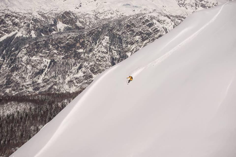 Apartments Triglav モイストラナ エクステリア 写真