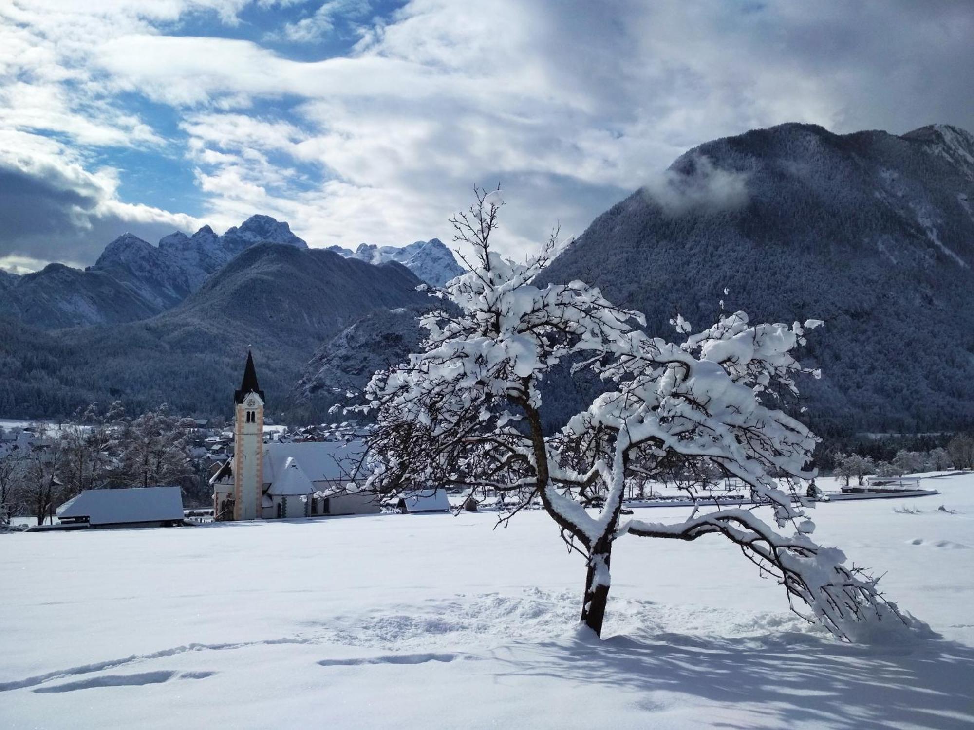 Apartments Triglav モイストラナ エクステリア 写真